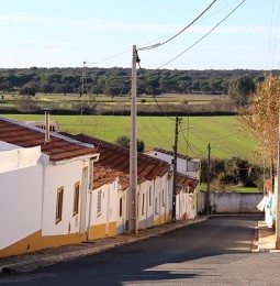 O Bardanado… O Bardanado…